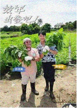 向往的生活 无敌琪琪电影观看免费版